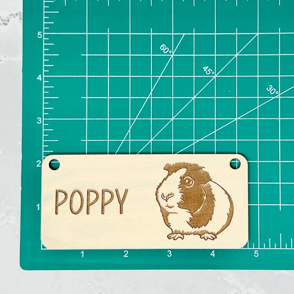 Personalized Guinea Pig Cage Tag, Custom Pet Name Sign & Decor, Cage Decor
